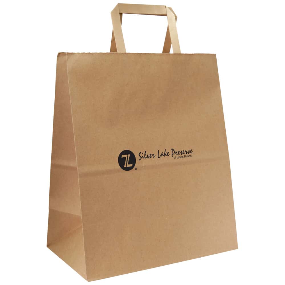 Non Woven Laminated Sheet Printed Loop Handle Shopping Bag